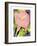 Calla Pink-David Chestnutt-Framed Giclee Print