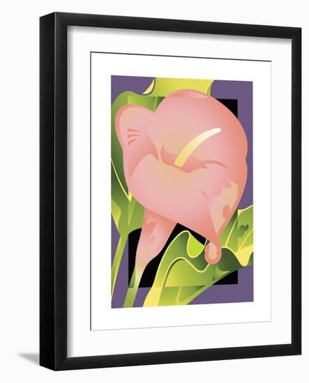 Calla Pink-David Chestnutt-Framed Giclee Print