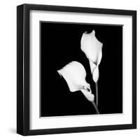 Calla Portrait I-Jeff Maihara-Framed Art Print