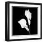 Calla Portrait I-Jeff Maihara-Framed Art Print