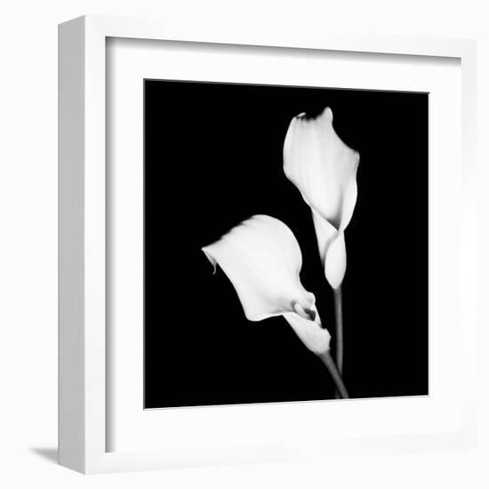 Calla Portrait I-Jeff Maihara-Framed Art Print