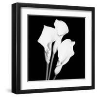 Calla Portrait II-Jeff Maihara-Framed Art Print