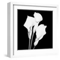 Calla Portrait II-Jeff Maihara-Framed Art Print