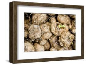 Calla Seeds-hitkaiser-Framed Photographic Print