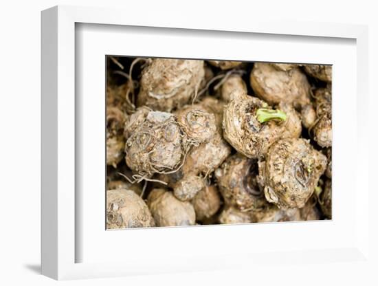 Calla Seeds-hitkaiser-Framed Photographic Print