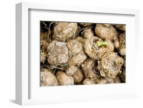 Calla Seeds-hitkaiser-Framed Photographic Print