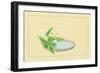 Calla-Sofu Teshigahara-Framed Art Print