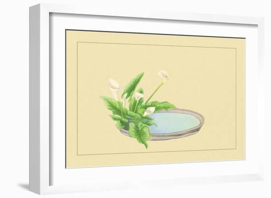 Calla-Sofu Teshigahara-Framed Art Print