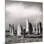 Callanish After Hailstorm, Lewis 1980-Fay Godwin-Mounted Giclee Print