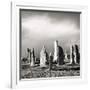 Callanish After Hailstorm, Lewis 1980-Fay Godwin-Framed Giclee Print