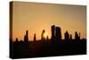 Callanish Silhouette-Michael Blanchette Photography-Stretched Canvas