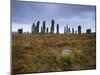 Callanish Standing Stones, Isle of Lewis, Outer Hebrides, Scotland-Patrick Dieudonne-Mounted Photographic Print