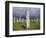 Callanish Standing Stones, Isle of Lewis, Outer Hebrides, Western Isles, Scotland-Jean Brooks-Framed Photographic Print