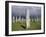 Callanish Standing Stones, Isle of Lewis, Outer Hebrides, Western Isles, Scotland-Jean Brooks-Framed Photographic Print