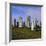 Callanish Standing Stones, Lewis, Outer Hebrides, Scotland, UK, Europe-Michael Jenner-Framed Photographic Print