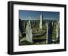Callanish Standing Stones, Lewis, Outer Hebrides, Scotland, United Kingdom, Europe-Woolfitt Adam-Framed Photographic Print