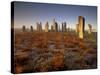 Callanish Stone Circle at Dawn, Isle of Lewis, Outer Hebrides, Scotland, UK-Patrick Dieudonne-Stretched Canvas