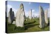 Callanish Stones, Isle of Lewis, Outer Hebrides, Scotland, 2009-Peter Thompson-Stretched Canvas