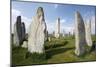 Callanish Stones, Isle of Lewis, Outer Hebrides, Scotland, 2009-Peter Thompson-Mounted Photographic Print