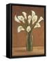 Callas dans un vase-Virginia Huntington-Framed Stretched Canvas