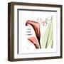 Callas Faith-Albert Koetsier-Framed Art Print