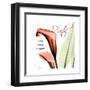 Callas Faith-Albert Koetsier-Framed Art Print