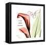 Callas Faith-Albert Koetsier-Framed Stretched Canvas