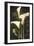 Callas II-John Seba-Framed Art Print