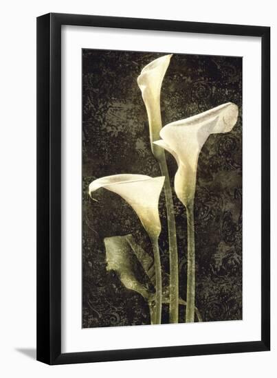 Callas II-John Seba-Framed Art Print