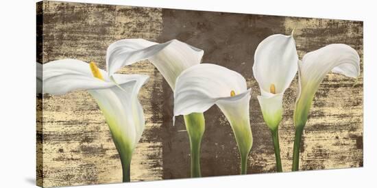 Callas on Gold (mocca variation)-Jenny Thomlinson-Stretched Canvas