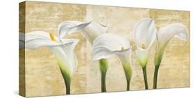 Callas on Gold (neutral variation)-Jenny Thomlinson-Stretched Canvas