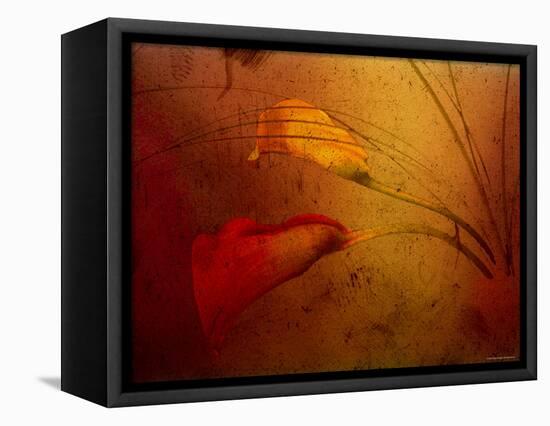 Callas-Katherine Sanderson-Framed Stretched Canvas