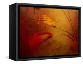 Callas-Katherine Sanderson-Framed Stretched Canvas