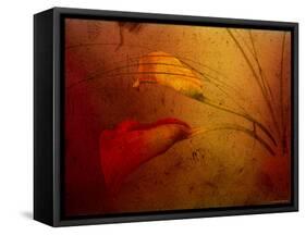 Callas-Katherine Sanderson-Framed Stretched Canvas