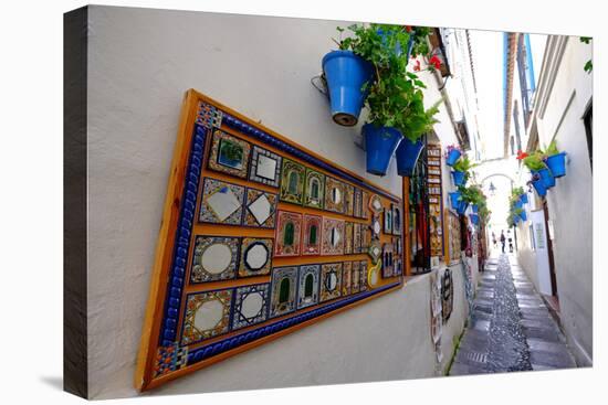 Calle De Las Flores, Cordoba, Andalucia, Spain-Carlo Morucchio-Stretched Canvas