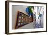 Calle De Las Flores, Cordoba, Andalucia, Spain-Carlo Morucchio-Framed Photographic Print