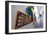 Calle De Las Flores, Cordoba, Andalucia, Spain-Carlo Morucchio-Framed Photographic Print