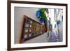 Calle De Las Flores, Cordoba, Andalucia, Spain-Carlo Morucchio-Framed Photographic Print