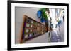 Calle De Las Flores, Cordoba, Andalucia, Spain-Carlo Morucchio-Framed Photographic Print