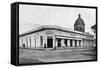 Calle Palmas, Asuncion, Paraguay, 1911-null-Framed Stretched Canvas