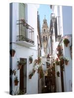 Calleja De Las Flores (Flower Alley), Spain-Lynn Seldon-Stretched Canvas