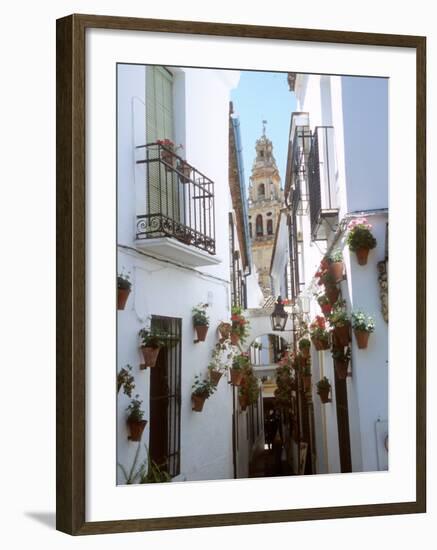 Calleja De Las Flores (Flower Alley), Spain-Lynn Seldon-Framed Photographic Print