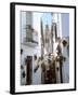 Calleja De Las Flores (Flower Alley), Spain-Lynn Seldon-Framed Photographic Print