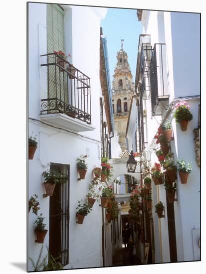 Calleja De Las Flores (Flower Alley), Spain-Lynn Seldon-Mounted Photographic Print