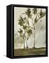 Calli Trees I-Kelsey Hochstatter-Framed Stretched Canvas