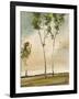 Calli Trees II-Kelsey Hochstatter-Framed Art Print