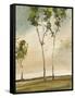 Calli Trees II-Kelsey Hochstatter-Framed Stretched Canvas