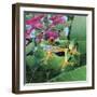 Calli-Durwood Coffey-Framed Giclee Print