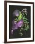 Calliandra Surinamensis II-Melissa Wang-Framed Art Print