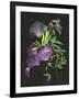 Calliandra Surinamensis II-Melissa Wang-Framed Art Print